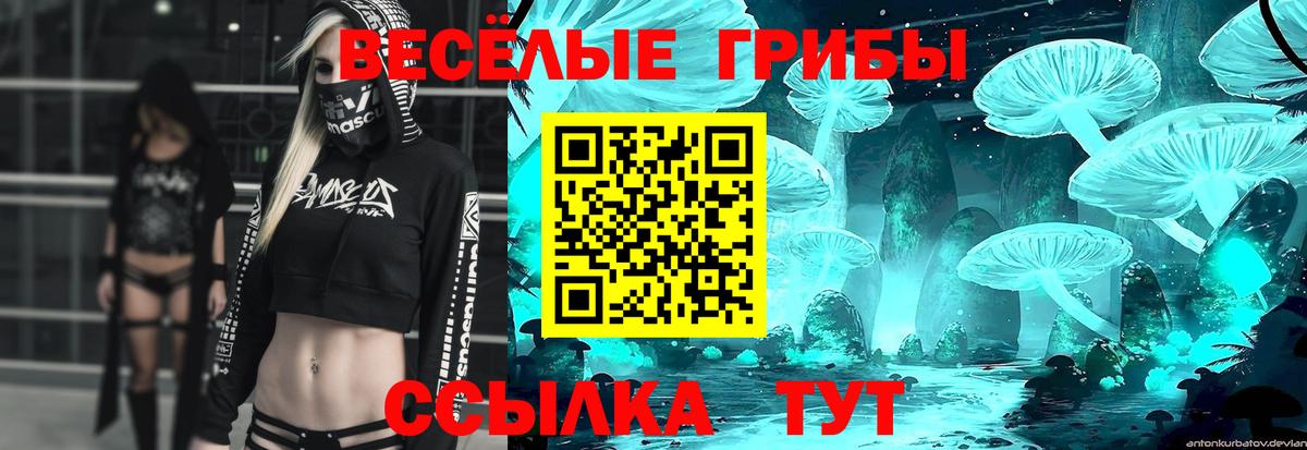 Галлюциногенные грибы GOLDEN TEACHER  дарнет шоп  Клинцы  Вход с VPN 